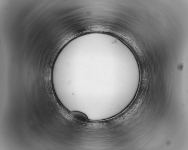 X0000103471281200810031512