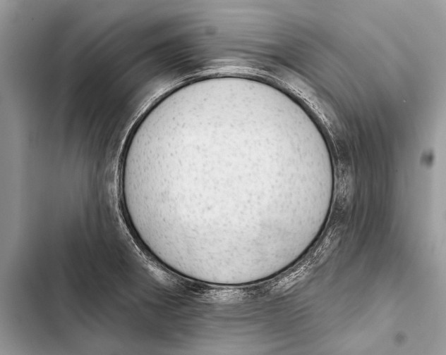 X0000103471282200810031512