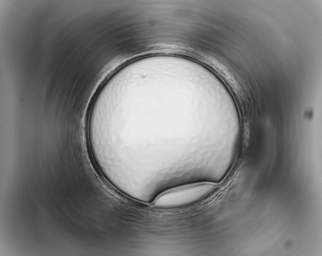 X0000103471283200810031512