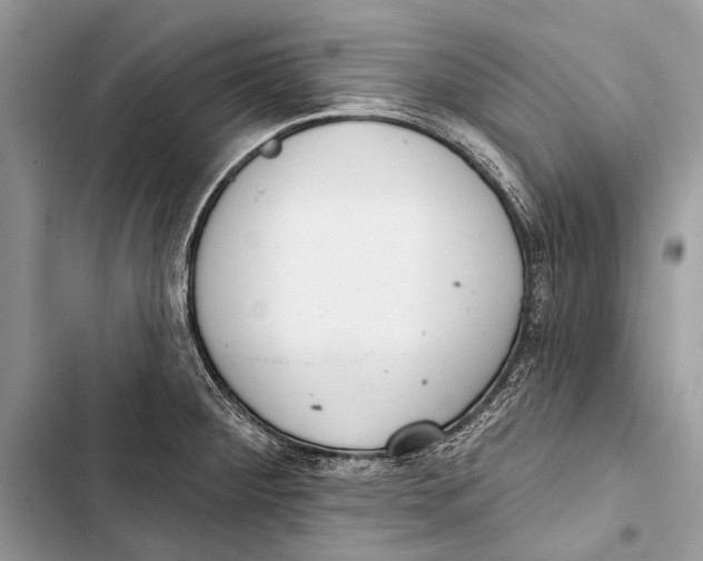 X0000103471284200810031512