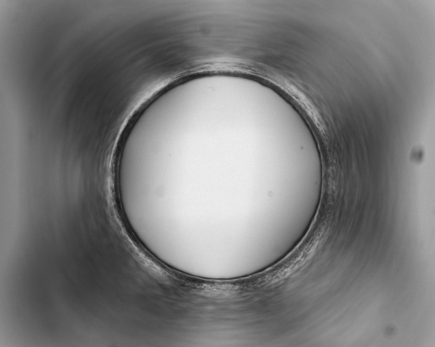 X0000103471285200810031512