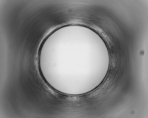 X0000103471286200810031512