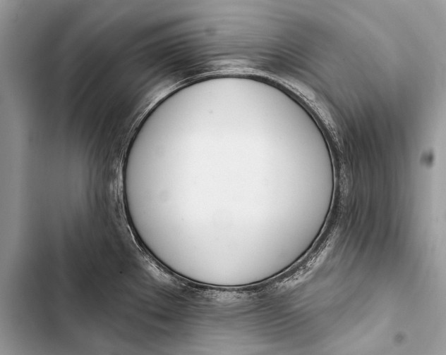 X0000103471289200810031512