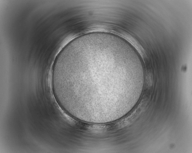 X0000103471290200810031512