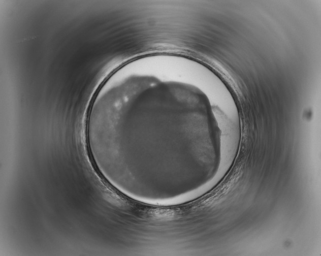 X0000103471291200810031512