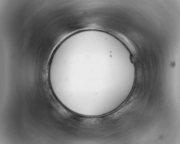 X0000103471292200810031512