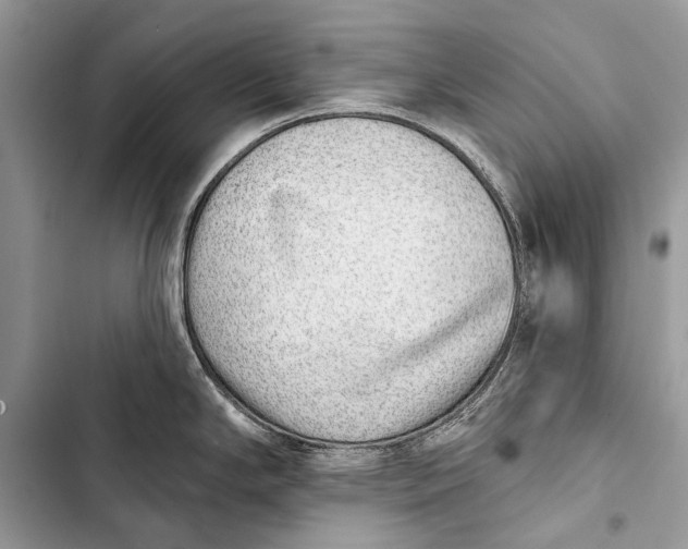 X0000103471294200810031512