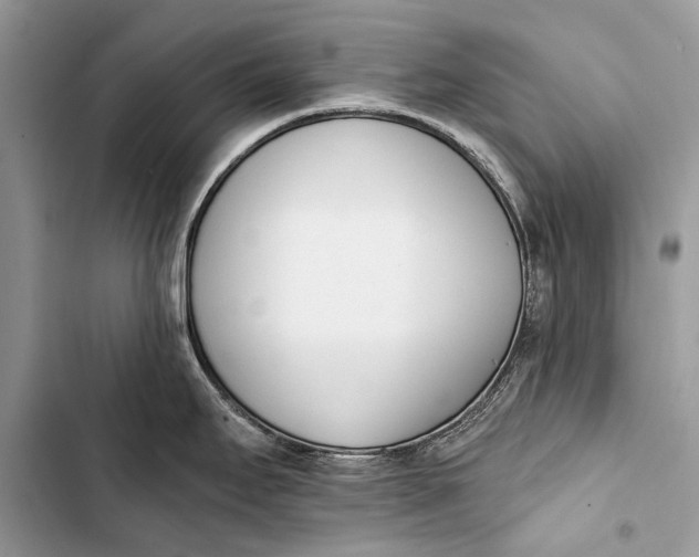 X0000103471295200810031512