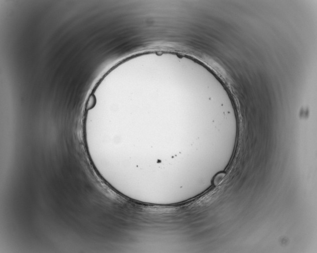 X0000103471296200810031512