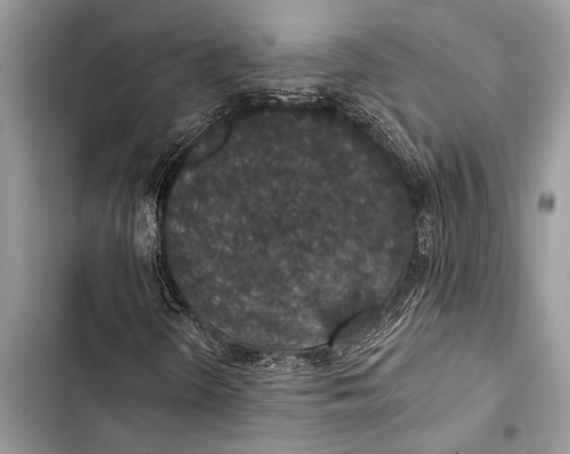 X0000103471298200810031511