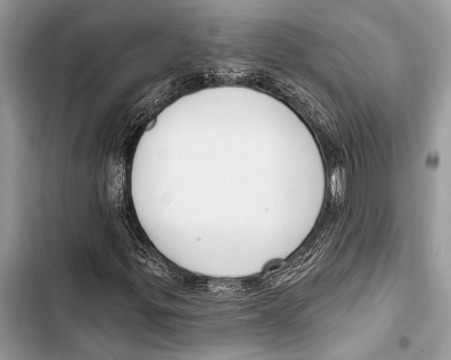 X0000103471299200810031511