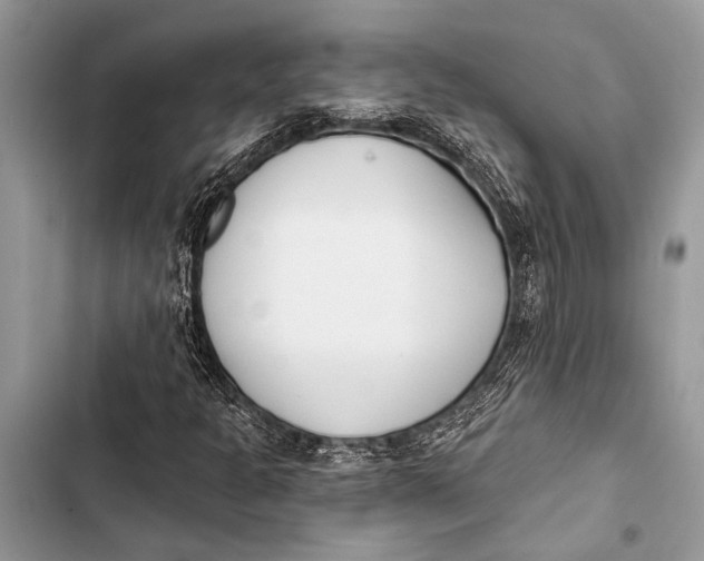 X0000103471301200810031511