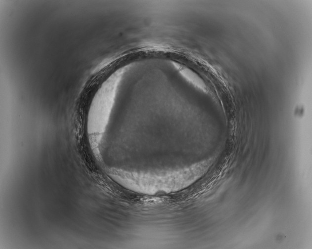 X0000103471303200810031511