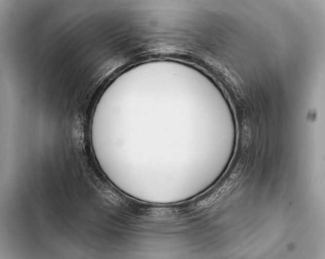 X0000103471305200810031511