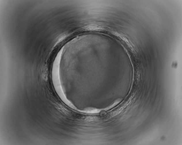 X0000103471306200810031511