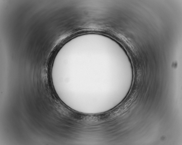 X0000103471307200810031511