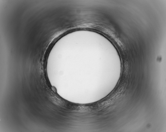 X0000103471308200810031511