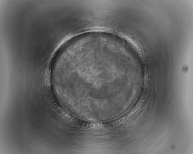 X0000103471310200810031511