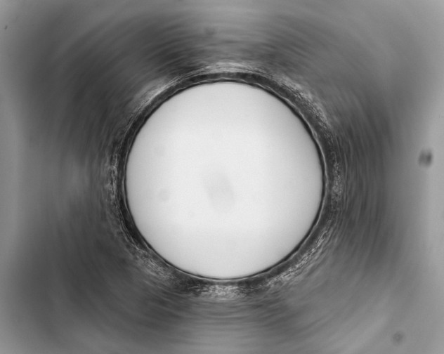 X0000103471313200810031511