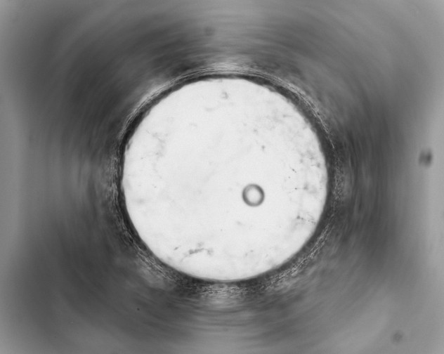 X0000103471314200810031511