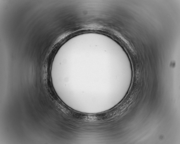 X0000103471315200810031511