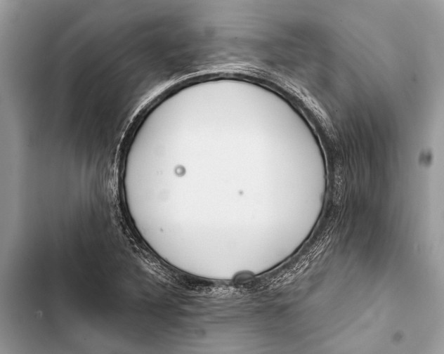 X0000103471316200810031511