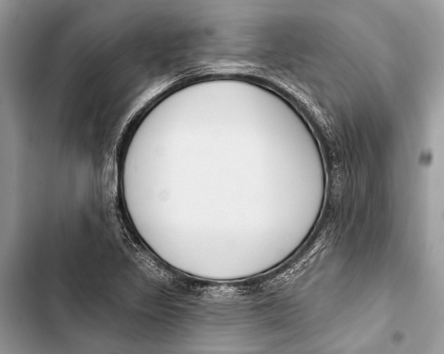 X0000103471317200810031511