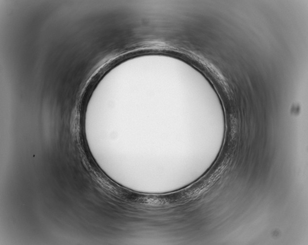 X0000103471318200810031511