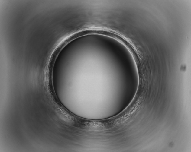 X0000103471319200810031511