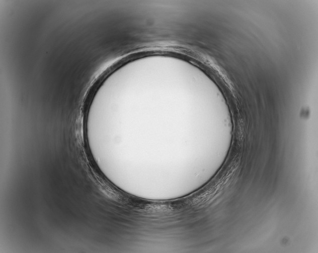 X0000103471320200810031511