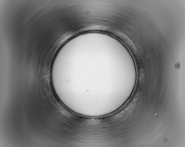 X0000103471321200810031511