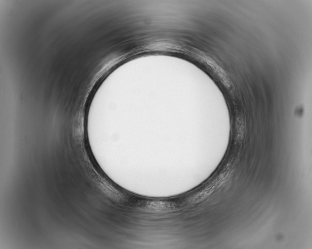 X0000103471322200810031511