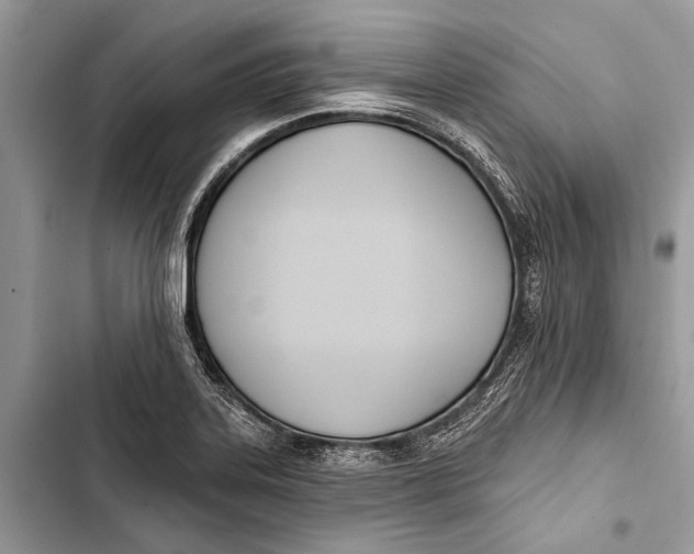 X0000103471323200810031511