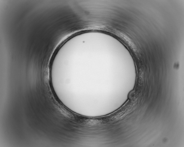 X0000103471324200810031511