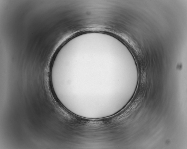 X0000103471325200810031511