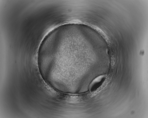 X0000103471326200810031511