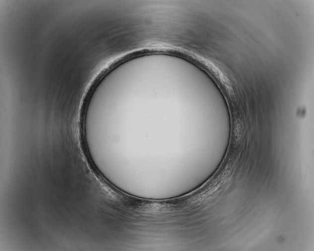 X0000103471327200810031511