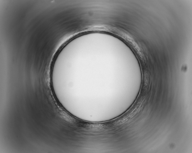 X0000103471328200810031511