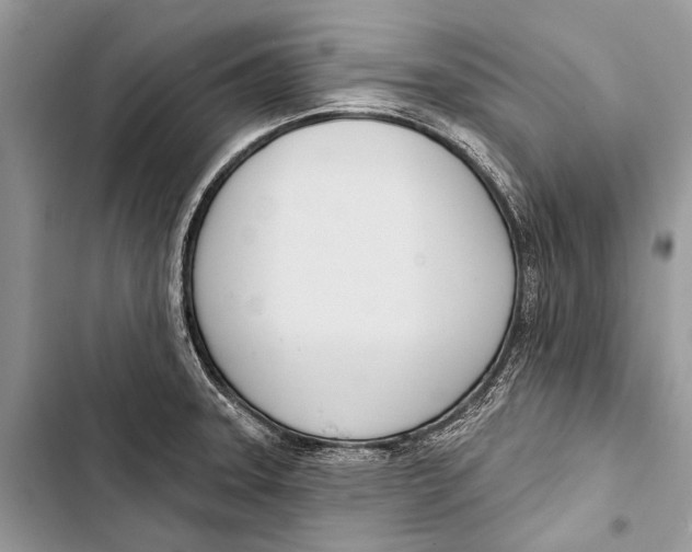 X0000103471331200810031511