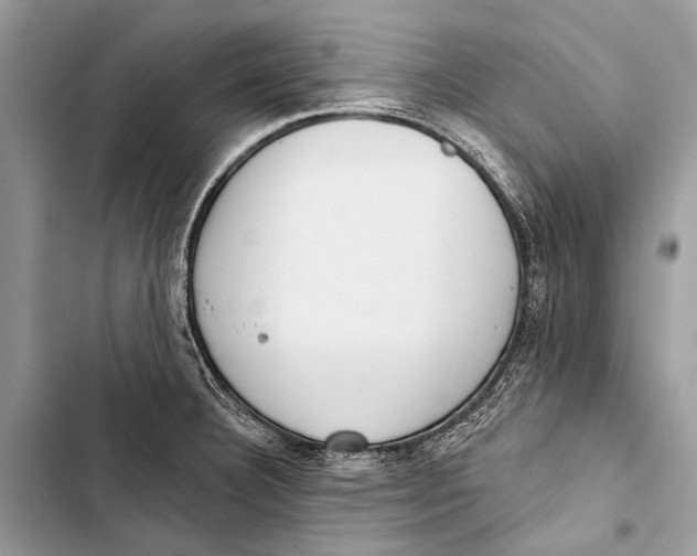 X0000103471332200810031511