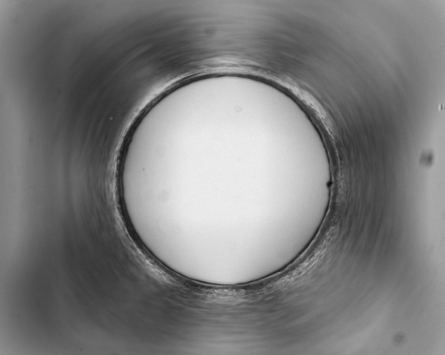 X0000103471333200810031511