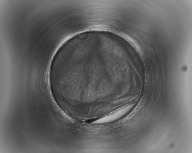 X0000103471334200810031511