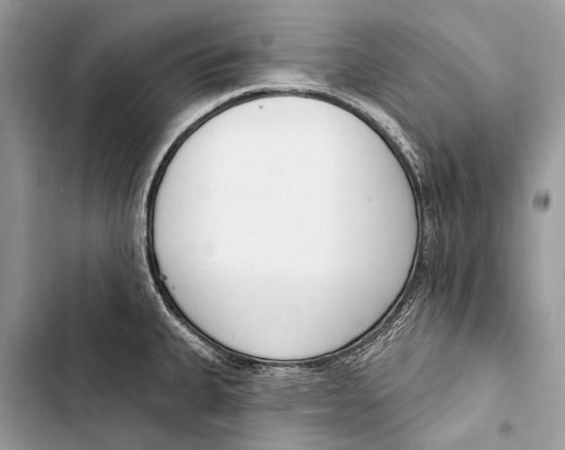 X0000103471335200810031511