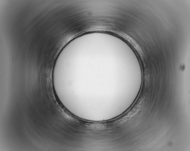 X0000103471337200810031512