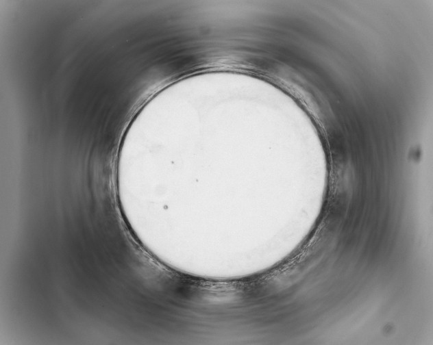 X0000103471338200810031512