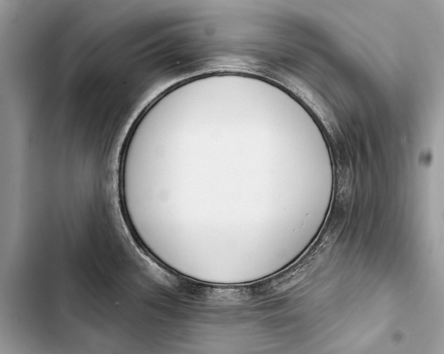 X0000103471339200810031512