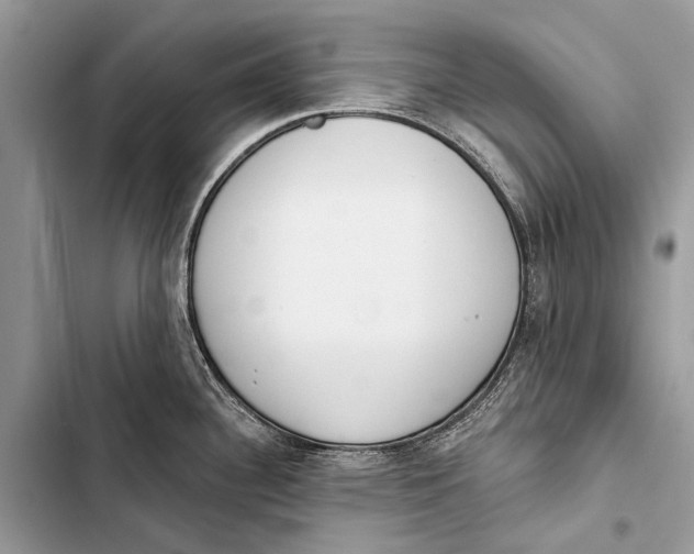 X0000103471340200810031512