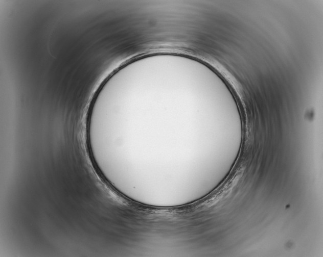 X0000103471341200810031512