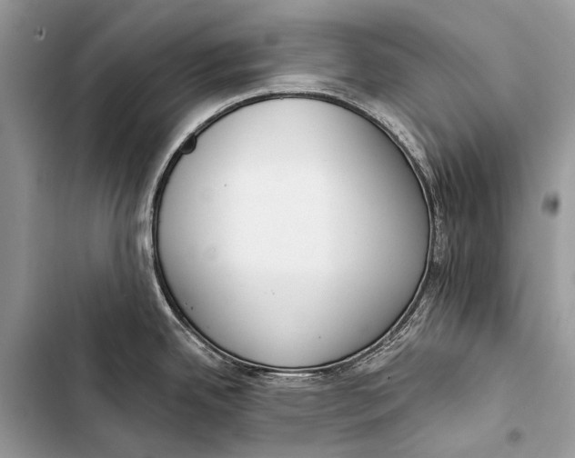 X0000103471342200810031512