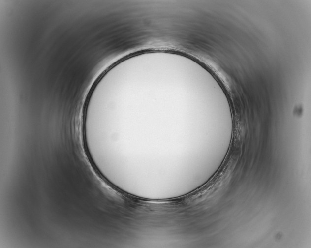 X0000103471343200810031512